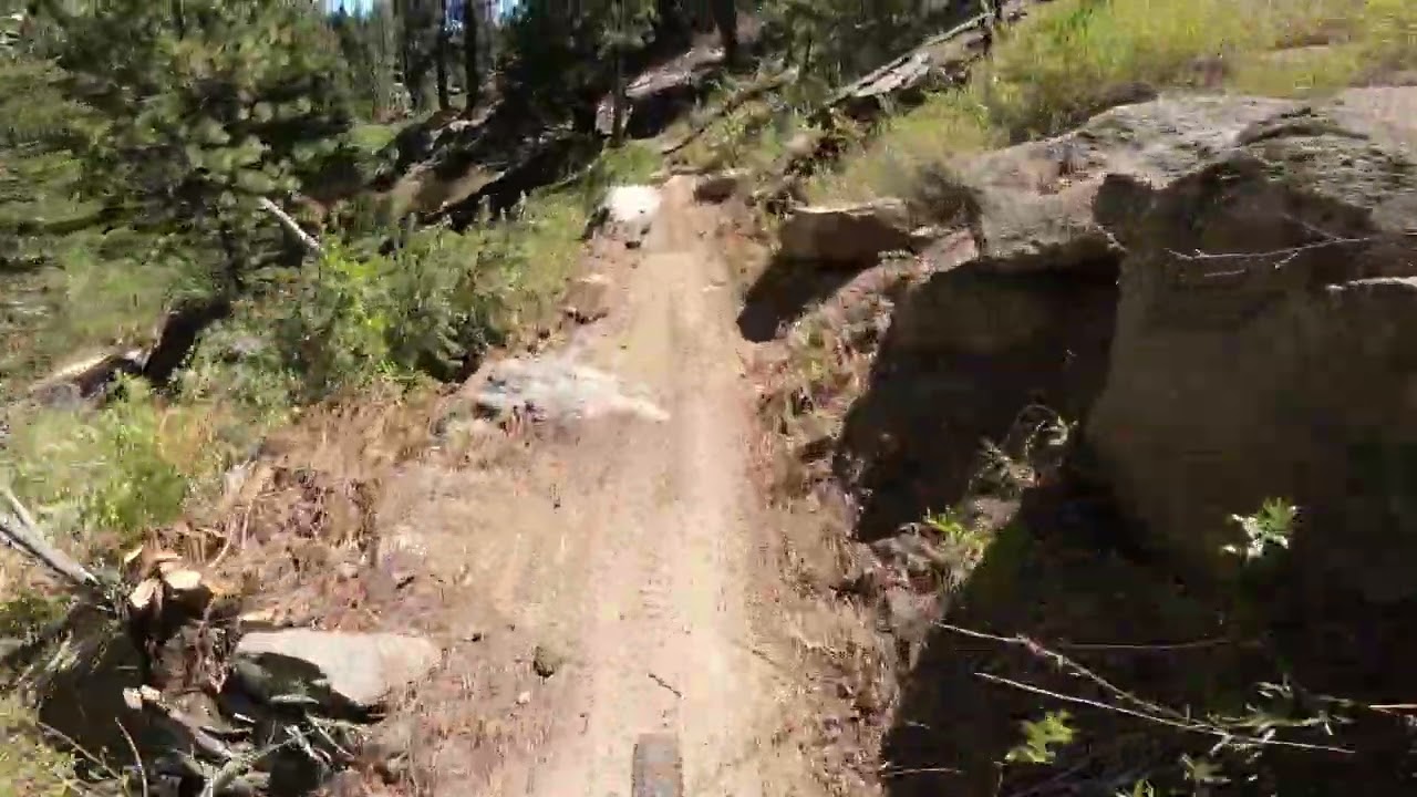 Cannell Meadow Trail with Trey and Luke