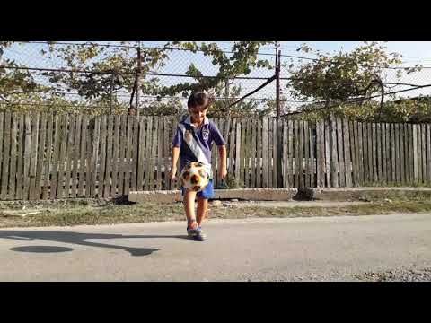 კისერზე ბურთის გაჩერება