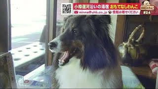 ツヤツヤな