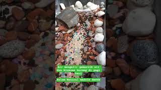 kolam madein dewek #aniskembangindonesia #kicaumanianusantara