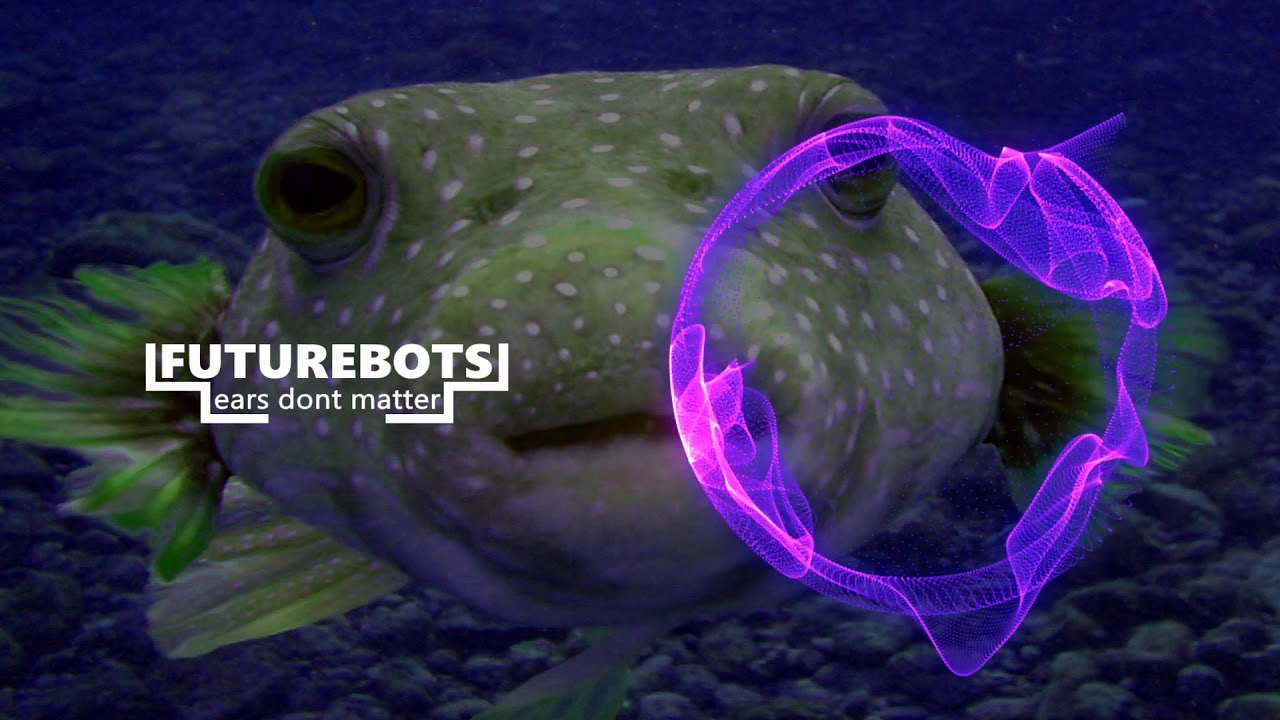 Sillst - 01010 11000 110101 [FutureBots Release] - YouTube