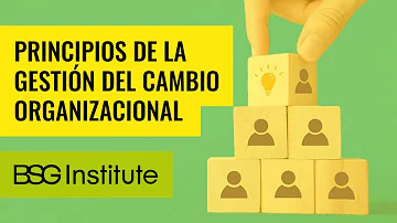 ¿Cuáles son los 7 principios de la gestión del cambio?