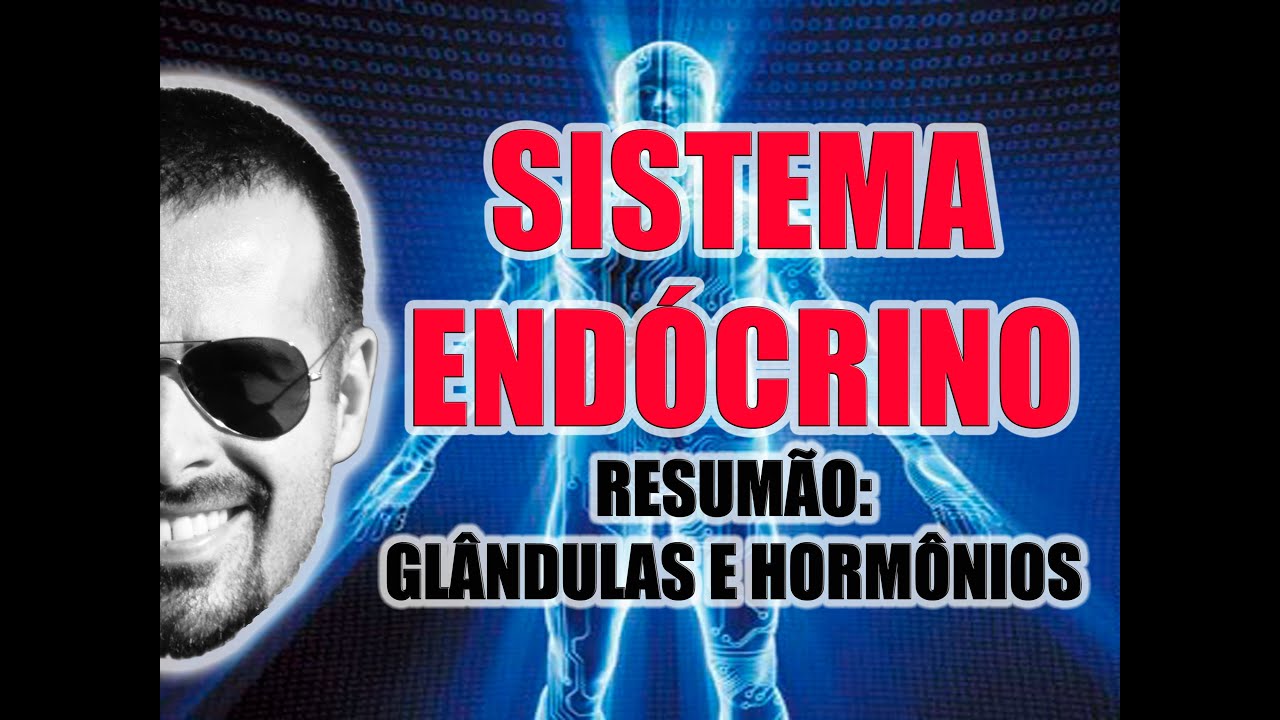 Sistema Endócrino - Resumão: Glândulas Endócrinas e Hormônios - Anatomia Humana - VideoAula 034 pancreas photo