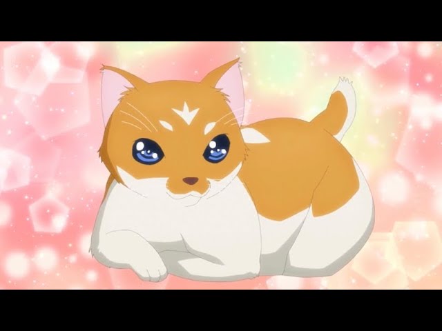Welcome To The Family Toast - Nasa and Tsukasa Adopts a Cat
