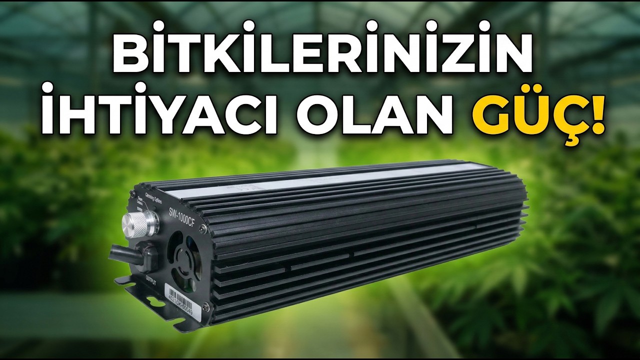 Hasadı %10 Artıran Sır: Süper Lümen Nedir? | Dijital Balast Kurulumu