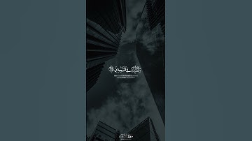 وتوكل على العزيز الرحيم || بصوت القارئ : #محمد_هشام • #سورة_الشعراء