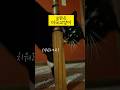 미국친구집에 눈맑은 성격좋은 고양이가 제몸을 허락했어요.ㅋㅋㅋ #미국일상 #미국라이프 #문화충격 #고양이