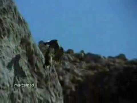 Eagle Throws Goat Off A Cliff