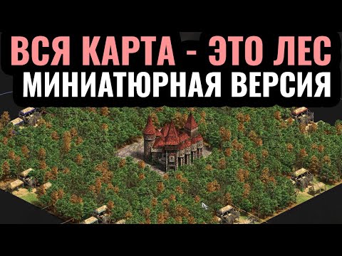 Видео: САМАЯ МАЛЕНЬКАЯ КАРТА в истории: КРОШЕЧНЫЙ Вся карта - это ЛЕС для 8 игроков! Age of Empires 2