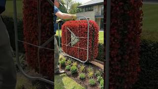 YouTube logo || A sculpture made of plants ☘️ #garden #topiary #restoration #youtubelogo