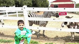 We went to Brookhollow's Barnyard in Boonton, NJ