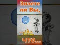 Знаете ли вы Что Слон
