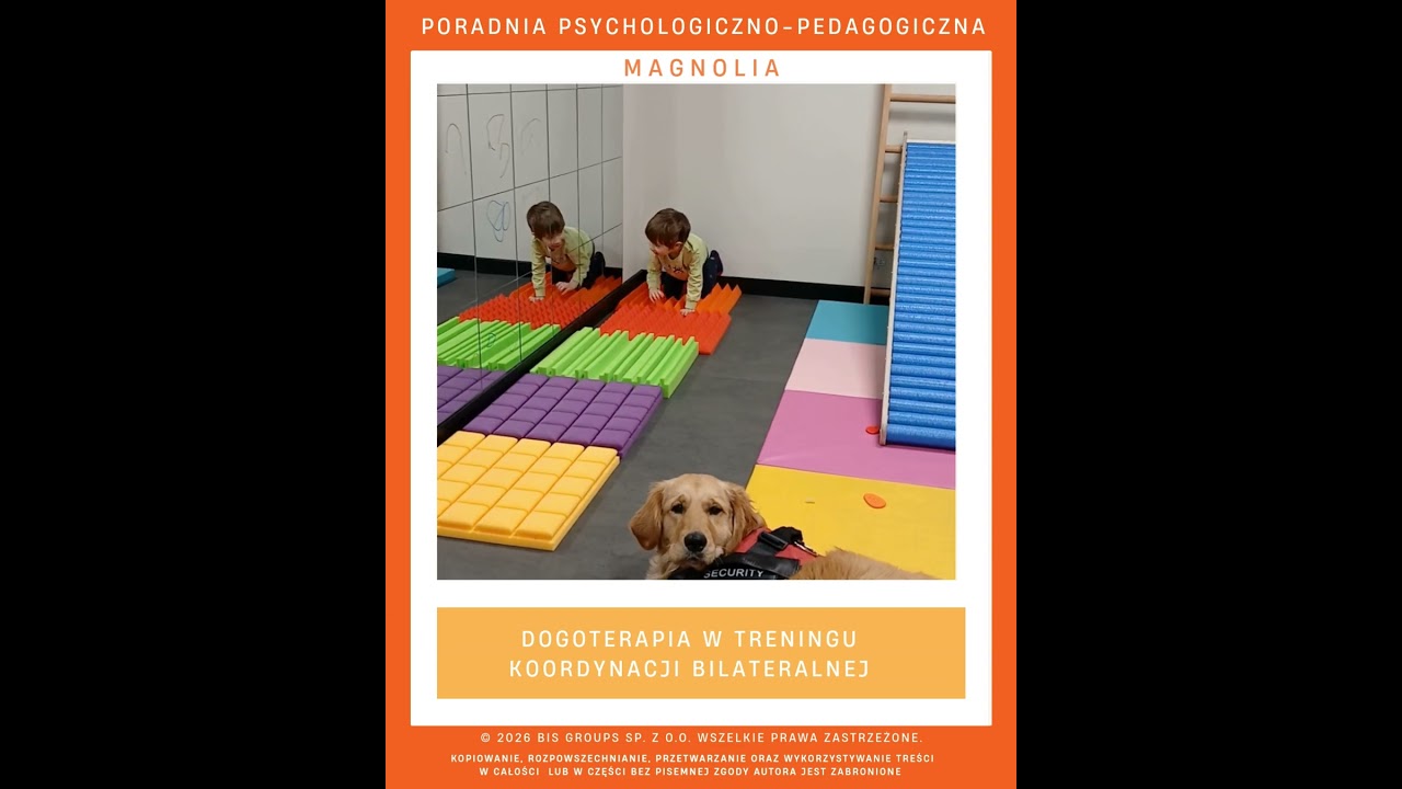 Dogoterapia z treningiem