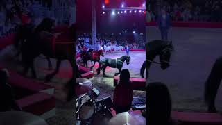 Gyere Kislány X Sandela