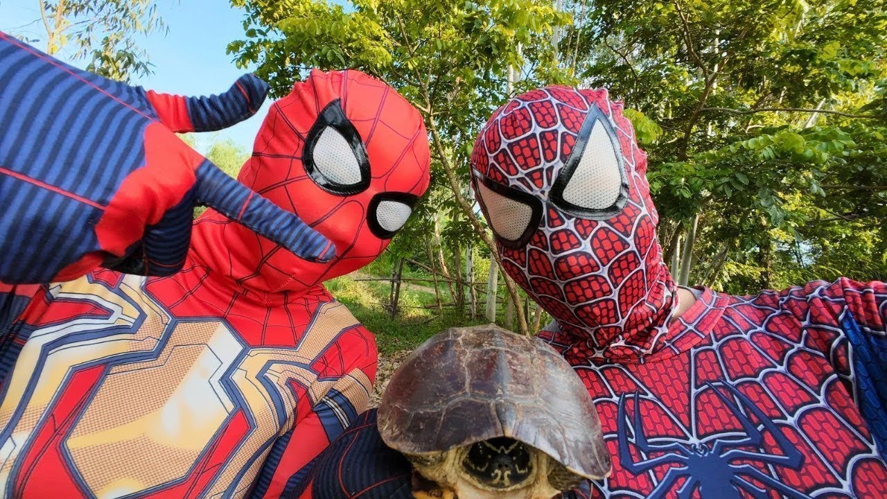 Spider man Fish Amazing Spiderman was bullied.What will it be like? Go ...
