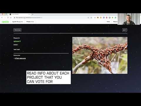 Megavote tutorial with Black Swan DAO - cygnet