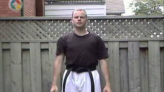 Taekwondo: Hapkido: Foundations: forearm inward strike block, front view