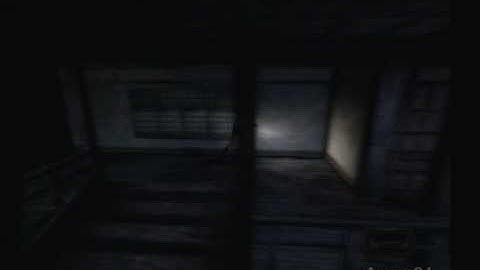 Project Zero 09 *The Strangling Ritual*