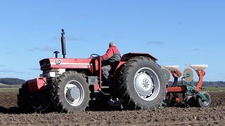 Vintage Tractors Plowing | Lots of Great Tractors in The Field