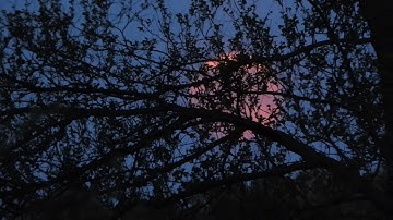 Full moon, moonlight test using Arduino Uno. Part 3