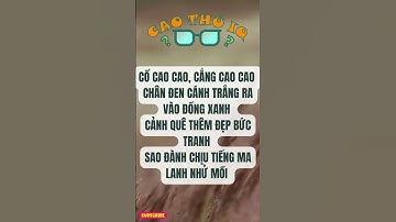 Câu Đố Vui Nhộn 3: Thử Thách Tư Duy Logic Của Bạn p17 | Cao Thủ IQ #funny #dovui #giaitri #haihuoc