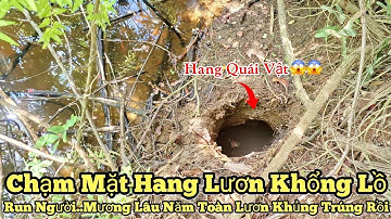 Câu lươn khủng_Chạm mặt hang lươn khổng lồ..Mương này toàn lươn khủng_tập981//Giant eel fishing