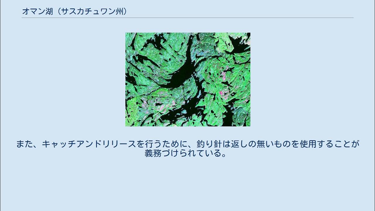 オマン湖 (サスカチュワン州) YouTube