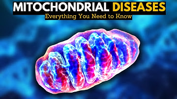 Mitochondrial Diseases: Everything You Need to Know