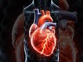 What Energy Drinks Really Do to Your Body