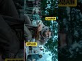 New action movie south 🎥 #2026 #shortvideo #blockbuster #trending