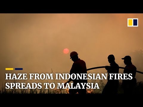 Haze from Indonesian forest fires spreading to neighbouring Malaysia