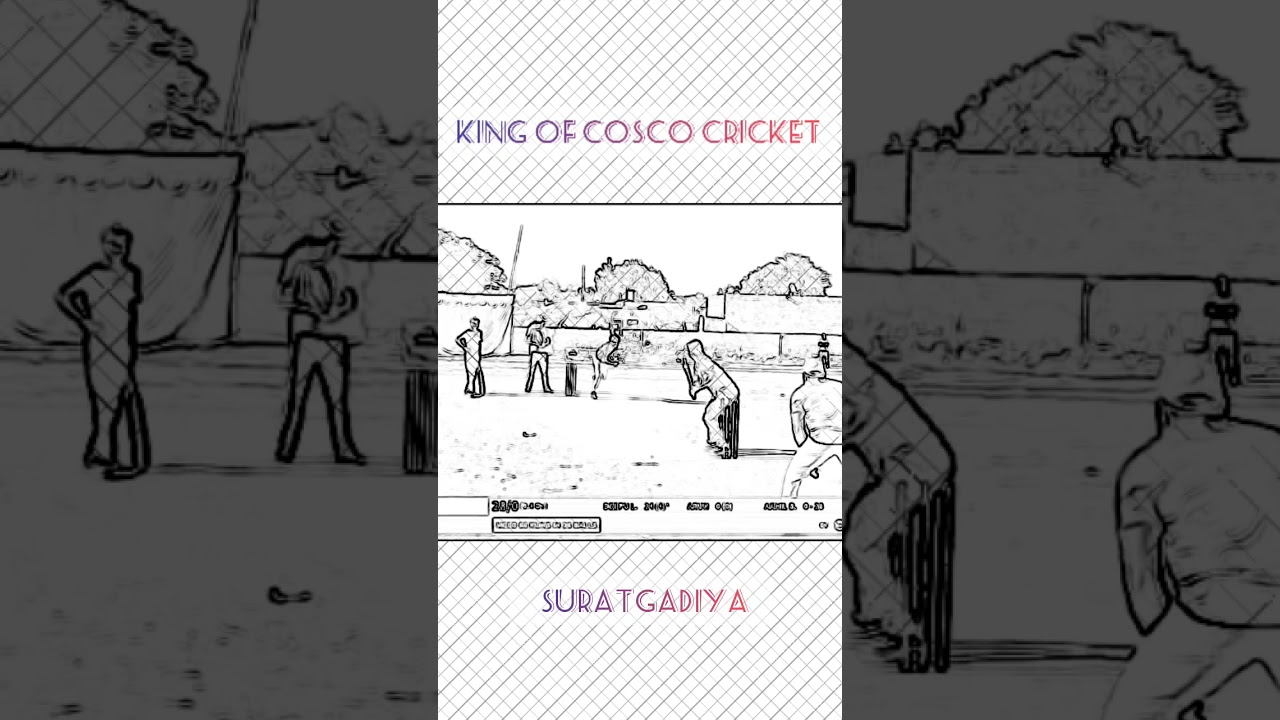 King Of Cosco Cricket || DEEPU LEFTY || Sainpal Cricket Cup 