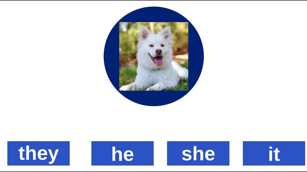 Subject Pronouns | I, you, we, they, he, she, it | Games | English ...