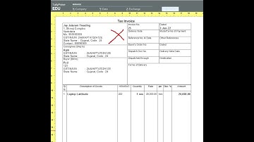Letter Head Invoice Print in Tally ERP 9 & Tally Prime ,Company Name Hide in Invoice #tallyprime