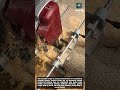 Super-fast wood mortising with this machine
