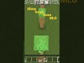mindcraft shorts