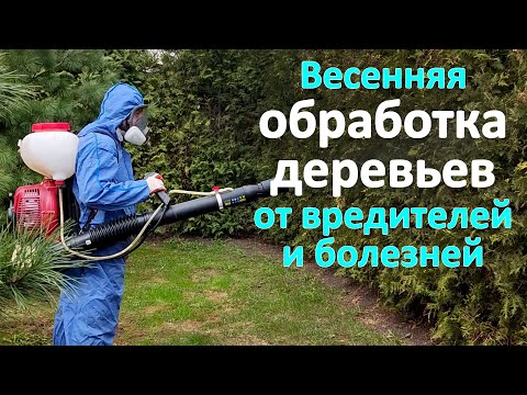 Видео: Обработка участка весной от вредителей и болезней