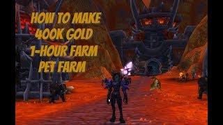 WOW Bronze Whelpling Multibox Farm