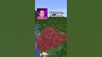 Best Command Moment 🤓🤓 #Shorts #Minecraft