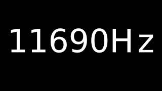 Speaker Sound Test 11690Hz | Speaker cleaner sound