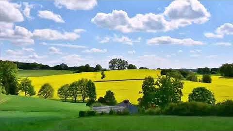 سورة يس. #قرآن كريم #تلاوه خاشعه. القارئ طارق محمد