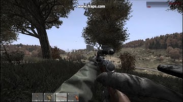 DayZ SA Mosin bug