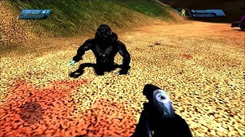 11 New Bugs On The New Halo MCC Update