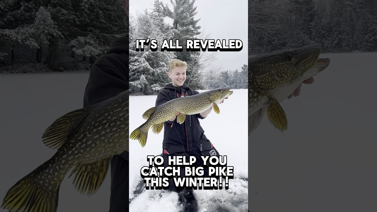Catch Monster Pike: Wisconsin Ice Fishing Report on 