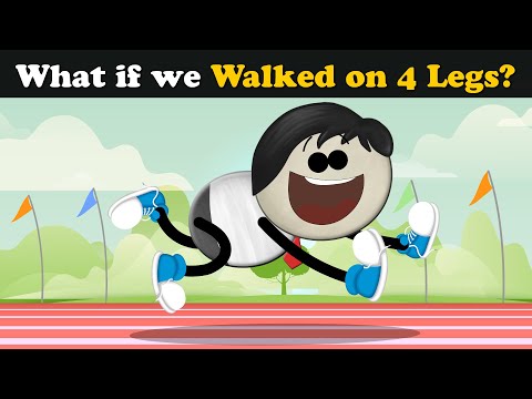 What if we Walked on 4 Legs? + more videos | #aumsum #kids #children #education #whatif