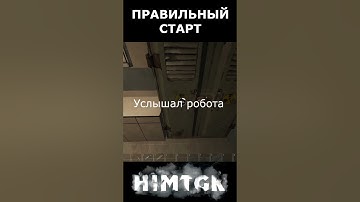 Правильный старт после вайпа SCUM