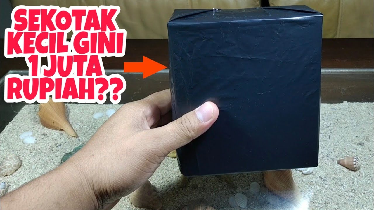 UNBOXING TANAMAN  AQUASCAPE  HARGA  1 JUTA RUPIAH YouTube