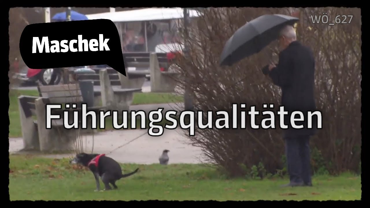 Maschek - Führungsqualitäten WÖ_627