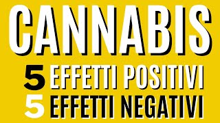 Cannabis: 5 positive psychoactive effects and 5 negative effects