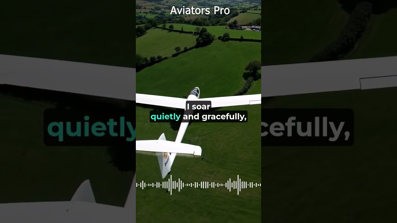 Glider vs Mechanic — one floats on air, the other fixes things with duct tape and hope.